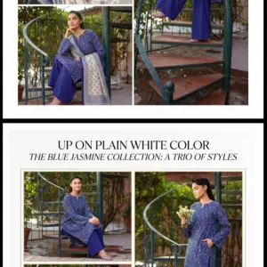 Unstiched Lawn 3 Piece Suit